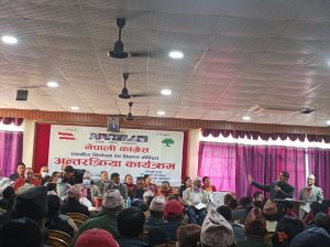 गठबन्धनविरुद्ध जानु कांग्रेसलाई फाइदा छैन : वरिष्ठ नेता पौडेल