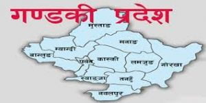 गण्डकी प्रदेशमा फागुनदेखि बिरामीलाई रगत निःशुल्क