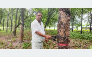 tanahun taranga news