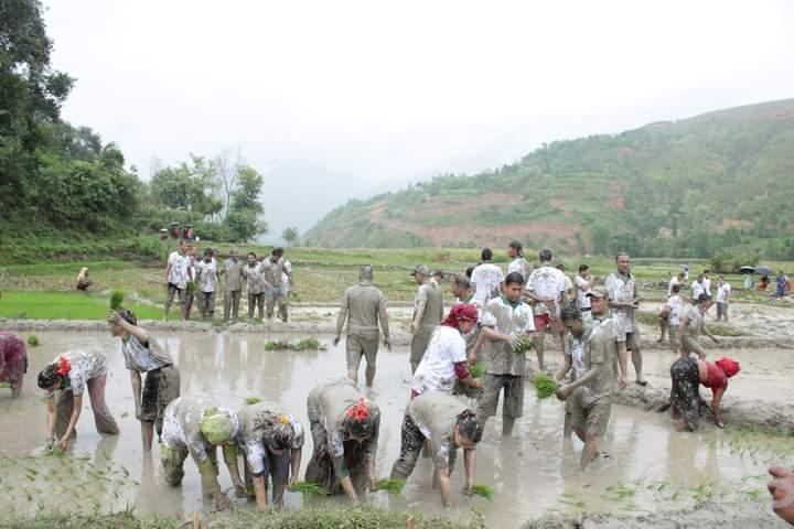 Tanahun taranga news