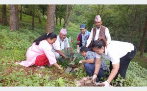 Tanahun taranga news