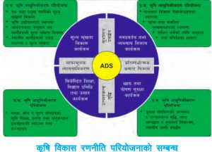 Tanahun taranga news