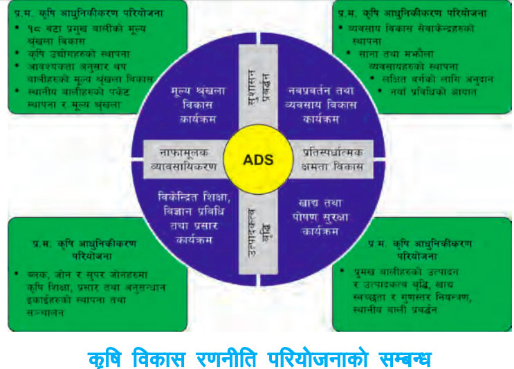 Tanahun taranga news