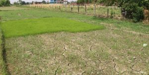 Tanahun taranga news