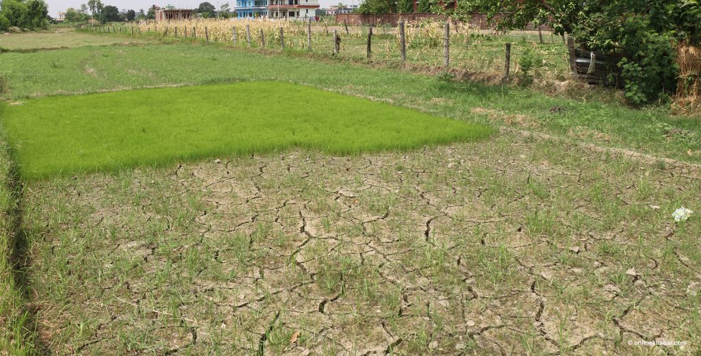 Tanahun taranga news