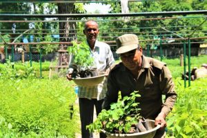 Tanahun taranga news