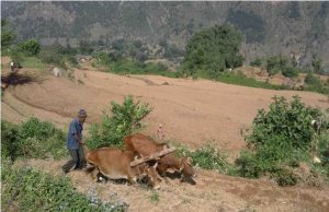 Tanahun taranga news