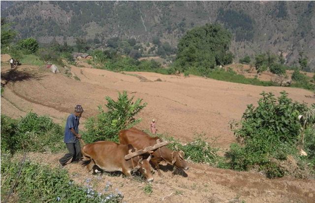 Tanahun taranga news