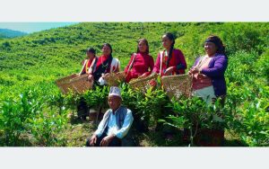Tanahun taranga news