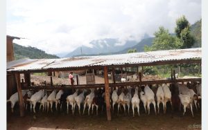 Tanahun taranga news