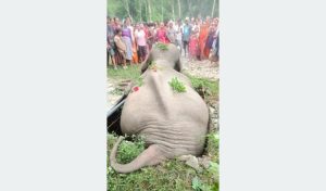 Tanahun taranga news
