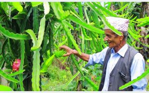 Tanahun taranga news
