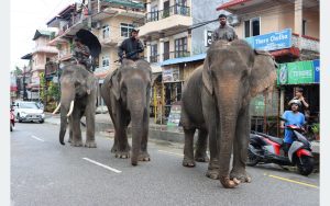 Tanahun taranga news