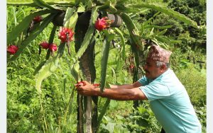Tanahun taranga news