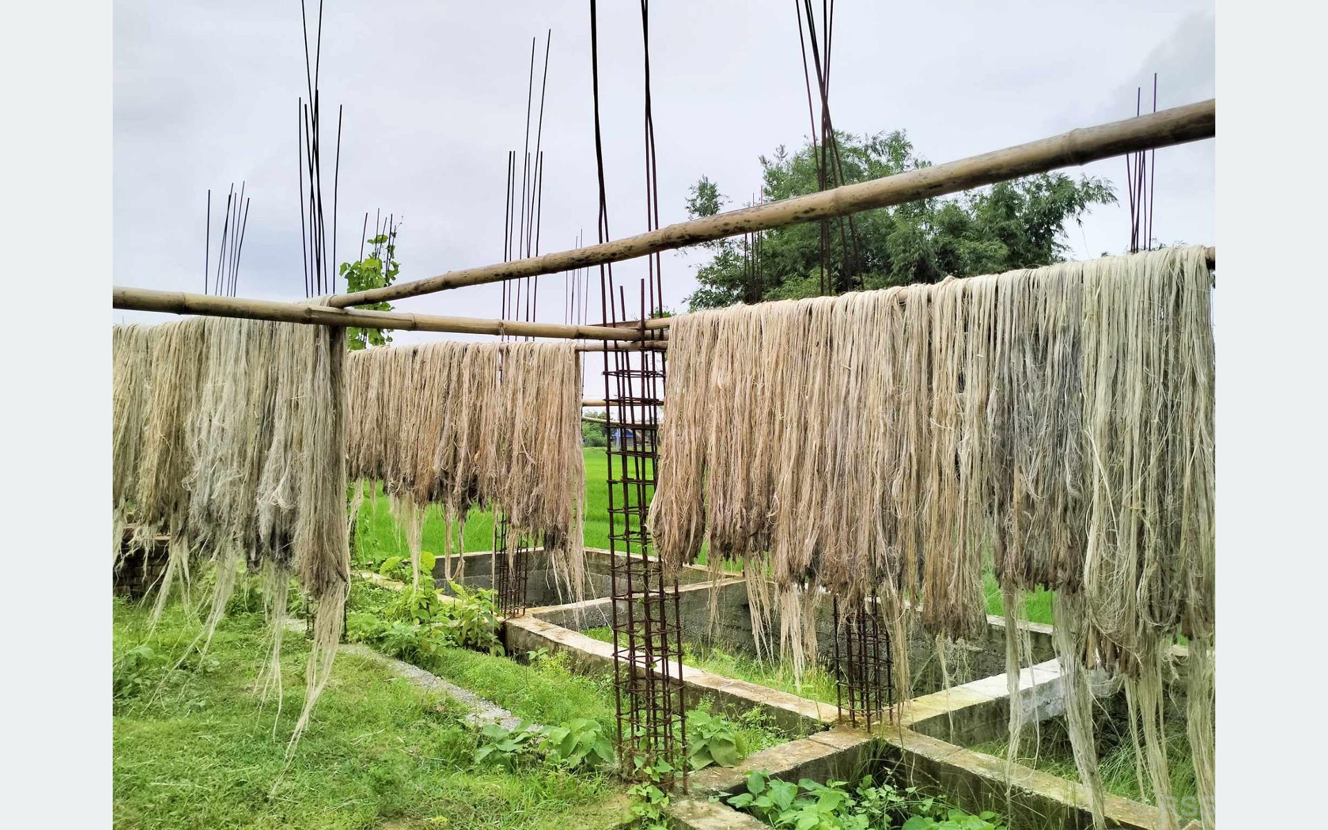 Tanahun taranga news