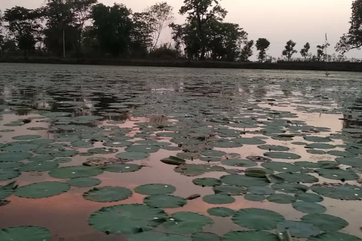 Tanahun taranga news