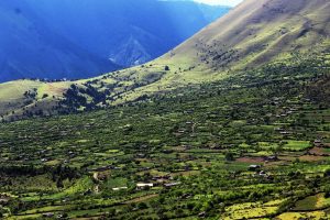 Tanahun taranga news
