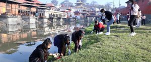 Tanahun taranga news