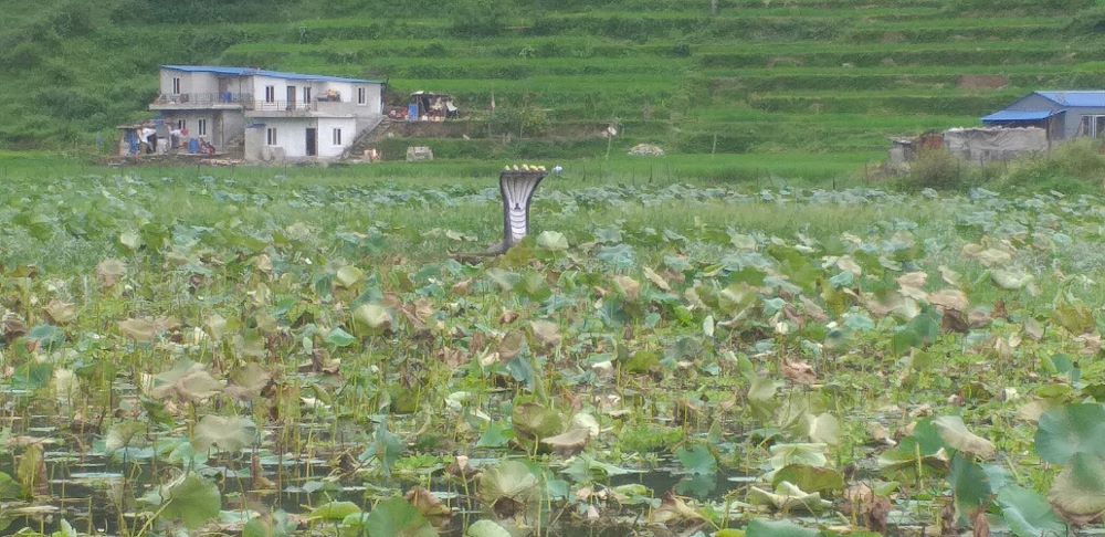 Tanahun taranga news