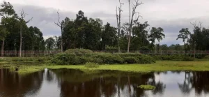 Tanahun Taranga news