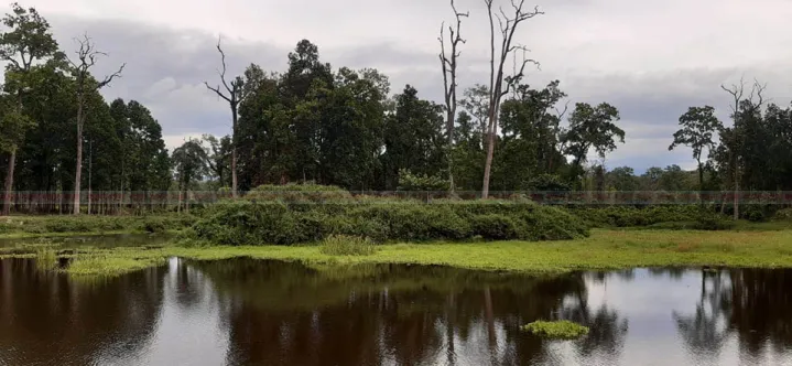 Tanahun Taranga news