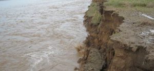 Tannahun taranga news