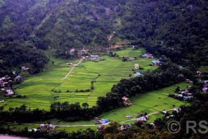 Tanahun taranga news