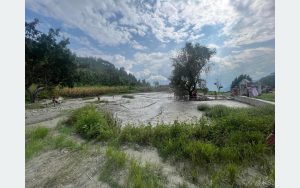 Tanahun taranga news