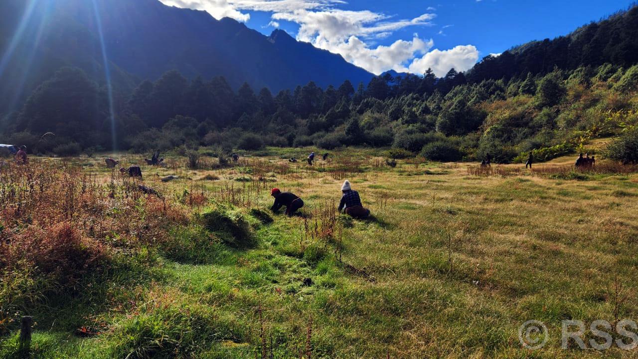 tanahun taranga news