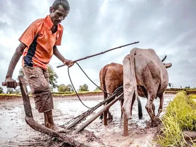 Tanahun taranga news