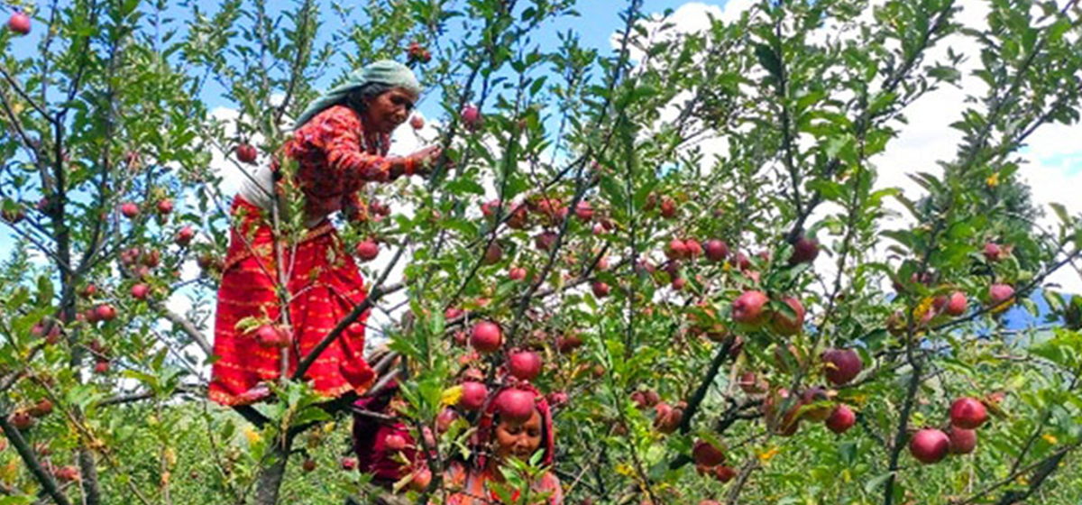 Tanahun taranga news