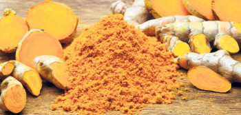 Tanahun taranga news