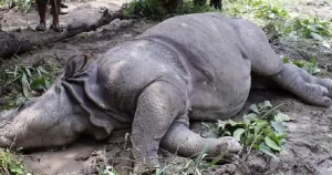 Tanahun taranga news