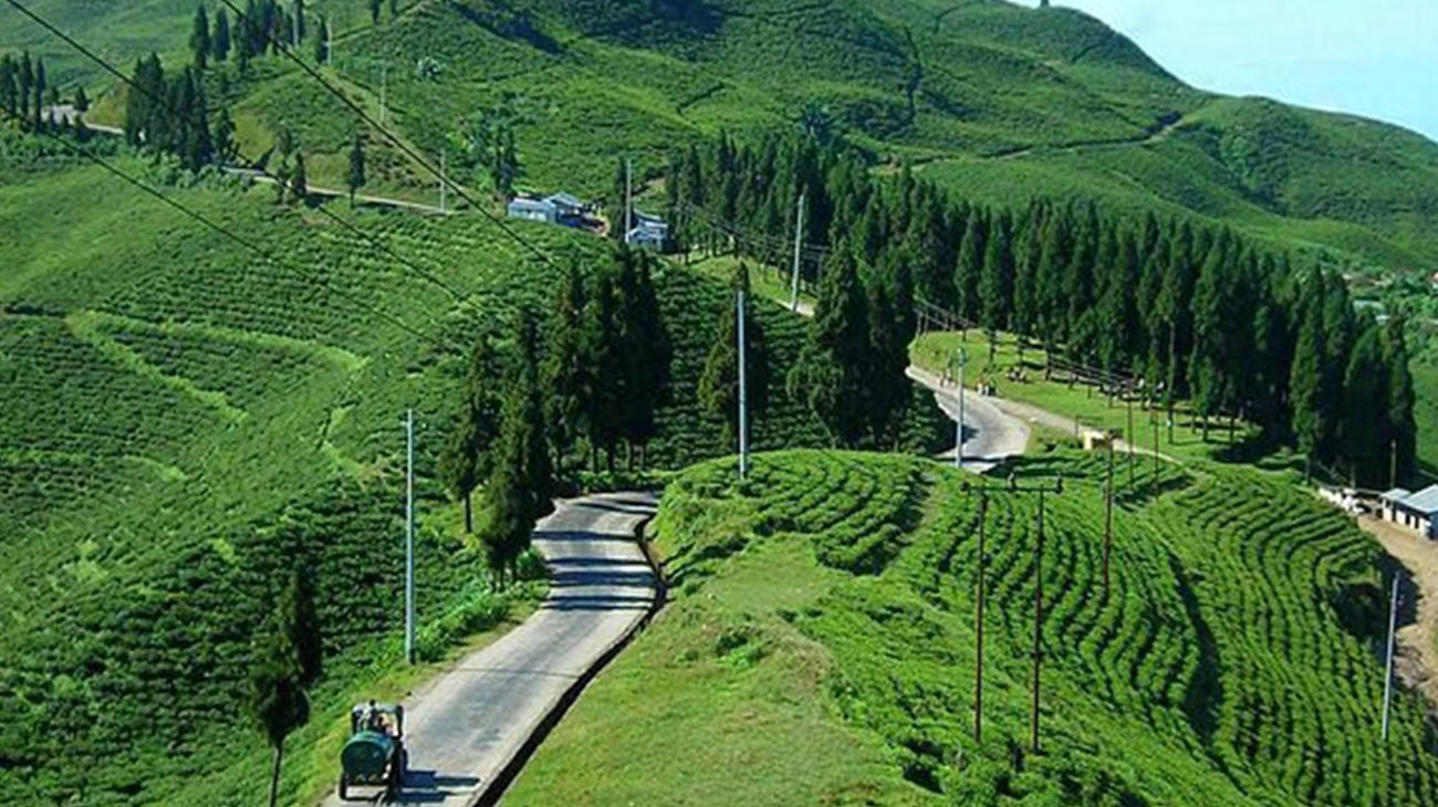 Tanahun taranga news