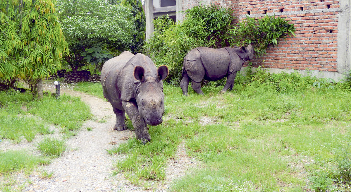 Tanahun taranga news