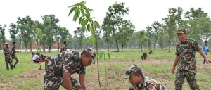 Tanahun taranga news