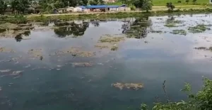 Tanahun taranga news