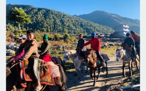 Tanahun taranga news