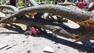 tanahun tarnga news