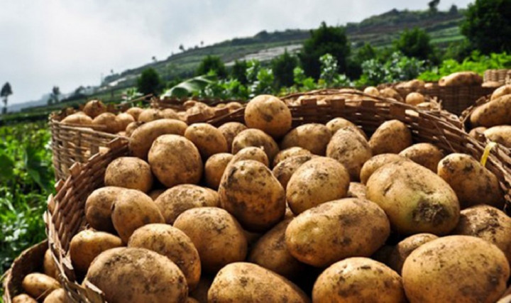 tanahun taranga news