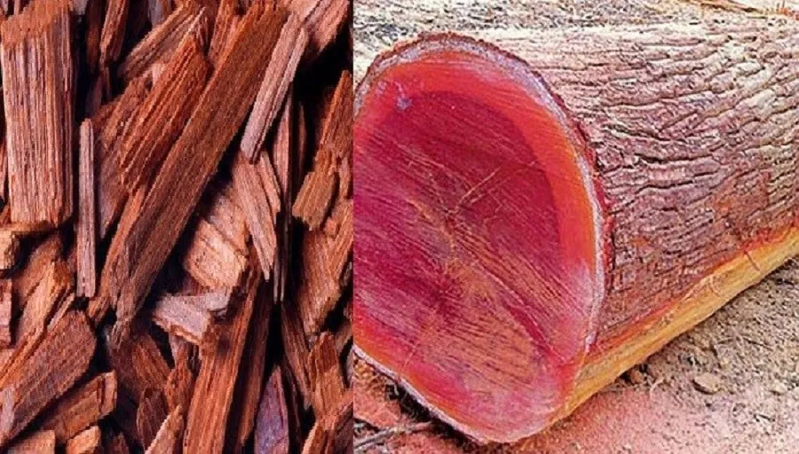 tanahun taranga news