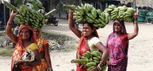 Tanahun taranga news