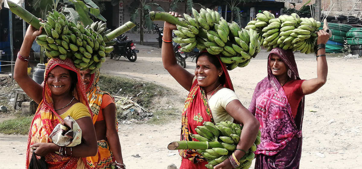 Tanahun taranga news