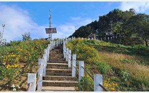 Tanahun taranga news