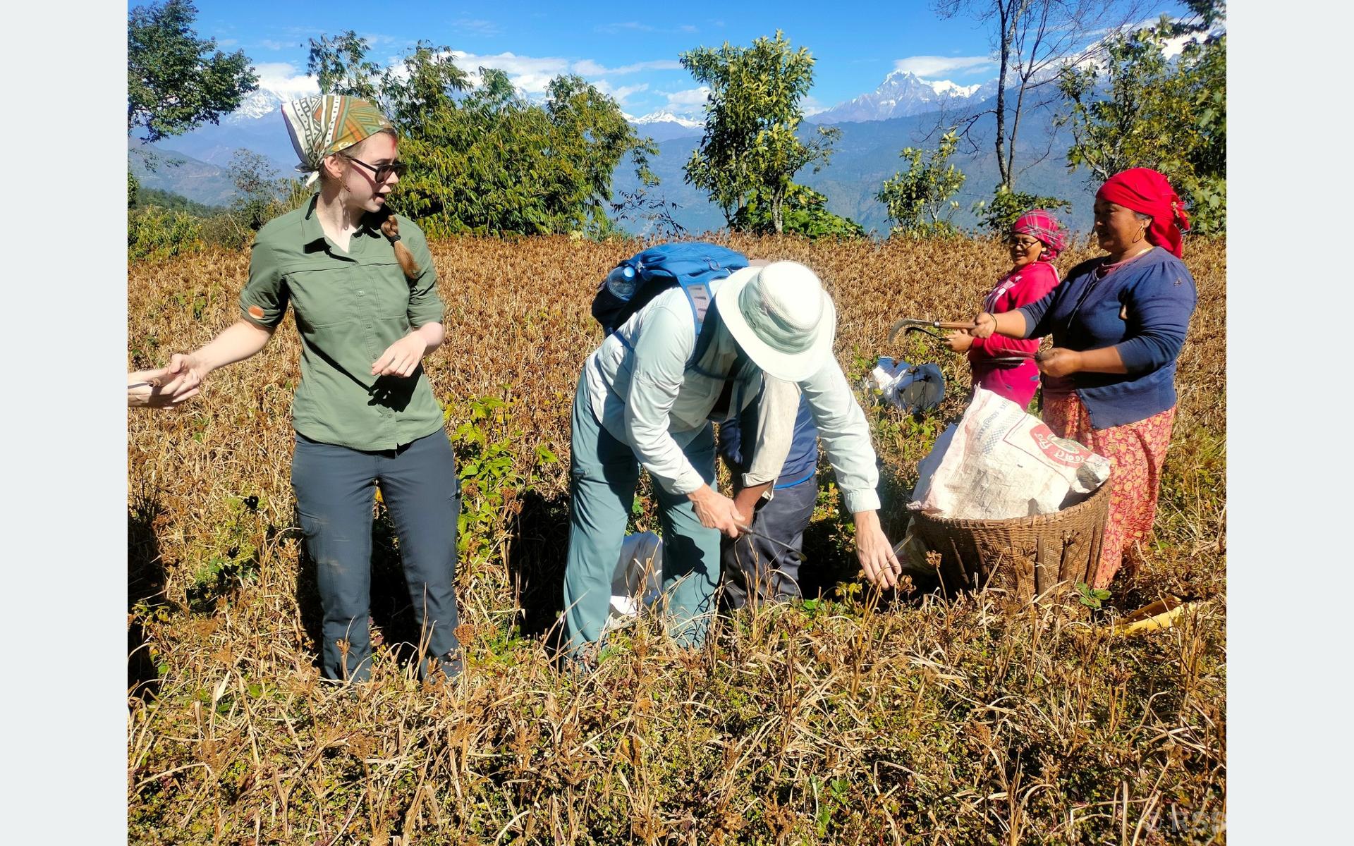 Tanahun taranga news