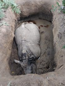 Tanahun taranga news