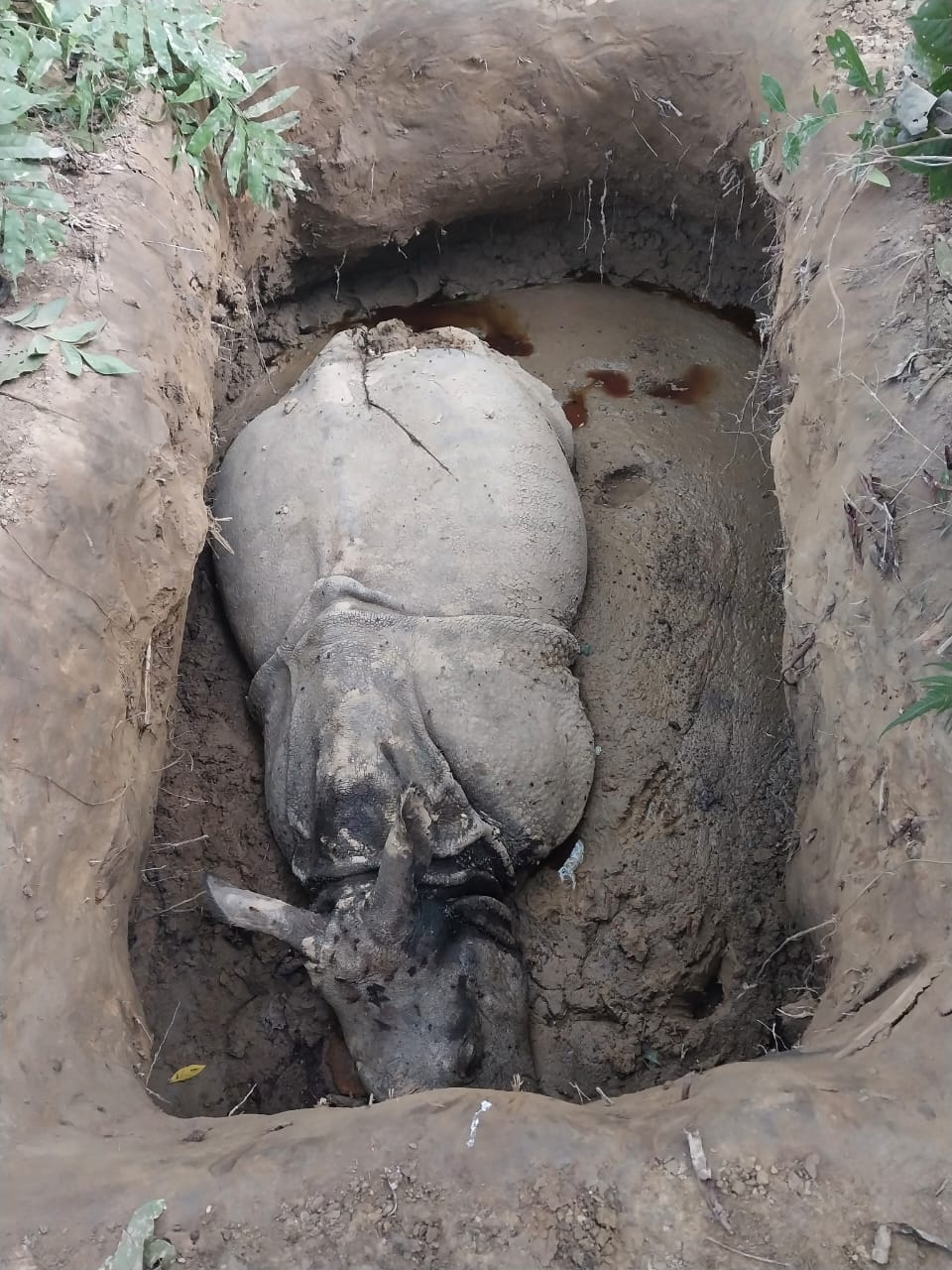 Tanahun taranga news