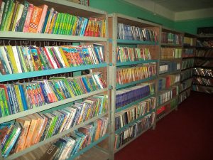 Tanahun taranga news