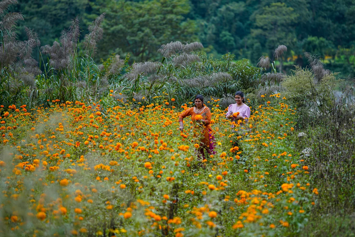 Tanahun taranga news