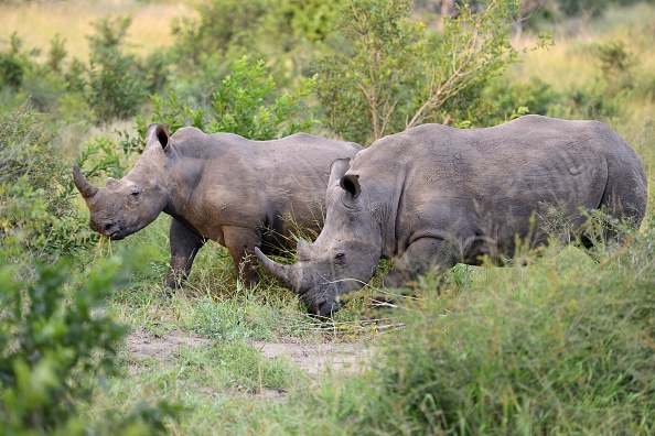 Tanahun taranga news